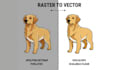 do raster to vector