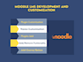 set up moodle and customize plugins, themes