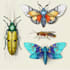 do colour insects illustration