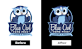 vectorize image or logo into high quality vector using adobe illustrator