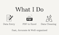 professional data entry excel, google spread sheets, and PDF