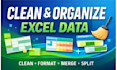 expert in cleaning, formatting, merging, and splitting excel datasets