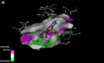 do molecular docking of ligands with target proteins