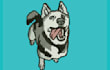 do custom pet embroidery digitizing
