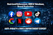 do professional dmca takedown to remove infringing content