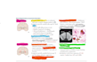 tutor biochemistry and neurosciences for usmle step 1