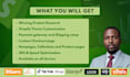 build shopify dropshipping store, shopify ecommerce website as shopify expert