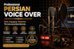 provide a professional persian voice over for your project