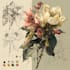 draw botanical illustrations of flowers