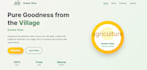 design and develop a or business portfolio website for