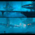 create sci fi city or landscape art for you