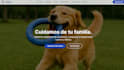 build and design a modern HTML landing page for your business