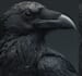 draw dark art animal illustration