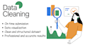 do data cleaning and visualization of the datasets