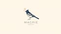 design an elegant magpie logo with my creative thinking
