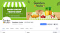 grow your facebook followers instant