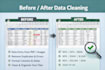 do accurate data entry and excel data cleaning in 1 day