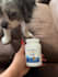 create engaging pet ugc videos for dog products and brands