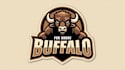 design an awesome buffalo head logo