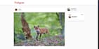 convert your figma design to react, angular, or HTML and CSS
