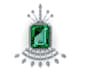 do cad jewelry designing and rendering