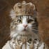 create custom royal pet portrait in high quality