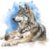 make animal illustrations in watercolor