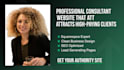 build a professional squarespace consultant website