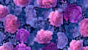 design unique seamless pattern design