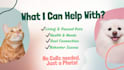 provide a written thetahealing pet psychic reading