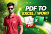 pdf to excel word data entry