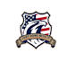 create patriotic and political logo