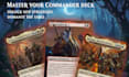 build you a custom magic the gathering, role playing game rpg edh commander deck