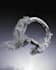 3d watch animation wristwatch video ads watch exploded watch render watch model