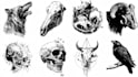 make a realistic black and white tattoo design for you