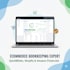 do ecommerce and amazon bookkeeping in quickbooks accurately