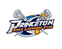 design brand identity lacrosse logo