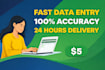 provide accurate and fast typing and data entry services