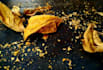 sell photographs to you