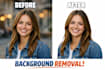 remove background with precision