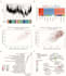 do your rnaseq analysis