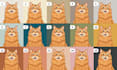draw a cute pet illustration within 24 hours