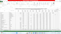 monthly excel data maintenance and cleanup service
