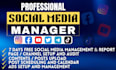 upload, optimize and schedule your youtube videos professionally