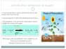 design professional powerpoint presentations and slides