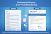 professionally format, rewrite, and improve your resume or CV