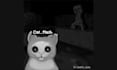 draw cute cats, memes, pets any cat