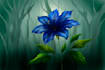 create hand drawn or digital art