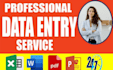 be your professional data entry, copy past, typing operator