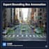 do professional image annotation, video annotation, and data annotation